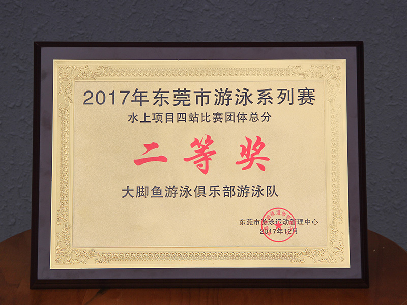 2017年东莞市游泳系列赛二等奖